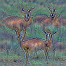 n02422106 hartebeest